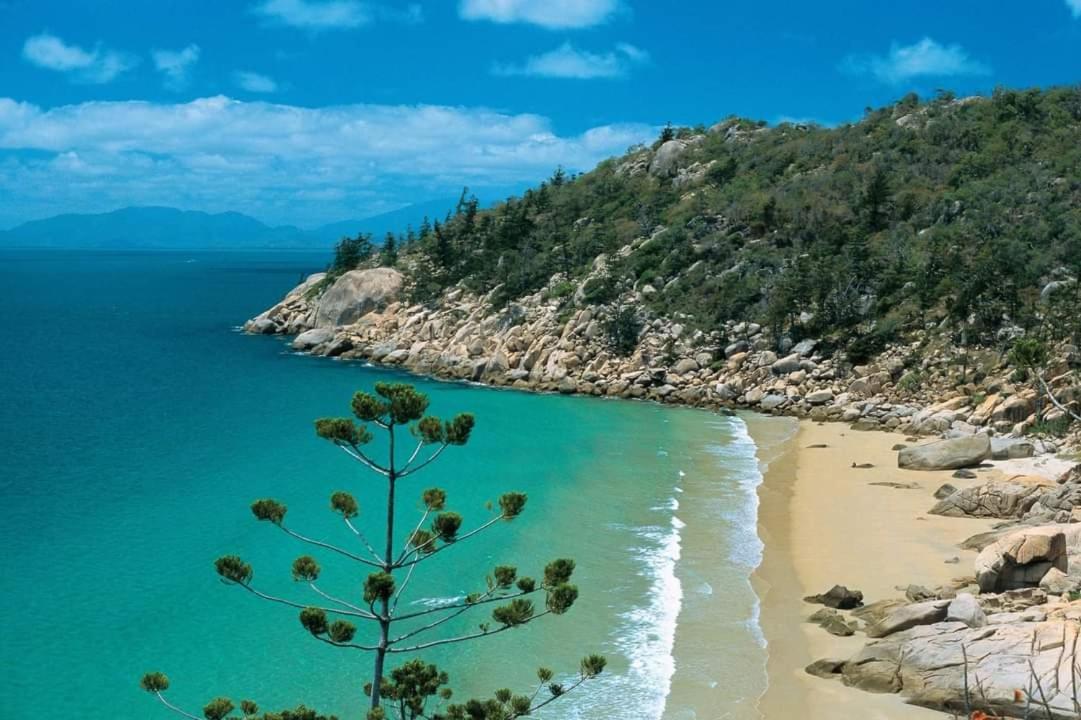 Beachside Cottage - A Private Peaceful Hidden Gem 50M To Beach Nelly Bay Εξωτερικό φωτογραφία